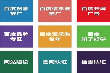 解析某某SEM服务公司的广告投放策略与效果评估